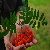 :iconscraped-paper: