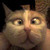 :iconscrapler: