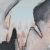 :iconscratchboard: