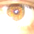 :iconscreaming-daisies: