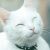:iconscreaming-darkness: