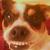 :iconscreamingfurby: