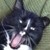 :iconscreamkittyplz: