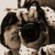 :iconscreamomaiyra: