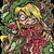 :iconscreamtilitends: