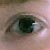 :iconscribbled-angelfish: