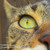 :iconscribblescritch: