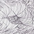 :iconscribewriter: