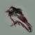 :iconscriptick: