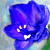 :iconscropitarius: