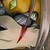 :iconscrouge-fiery: