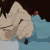 :iconscruffy051508: