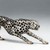 :iconsctya: