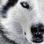 :iconscully1977: