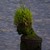 :iconsculpt22: