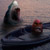 :iconScuttling-Bean: