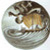 :iconscylla-charybdis: