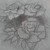 :iconsdfnp: