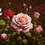 sdkaaas :iconsdkaaas: