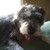 :iconsdmf04: