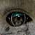 :iconse7enex: