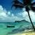 :iconsea-cotton-island: