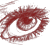 :iconsea-jay: