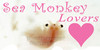 :iconsea-monkey-lovers: