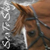 :iconsea-to-sky: