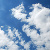 :iconsea-wings:
