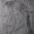 :iconseadwellingprotist: