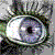 :iconseaf20: