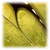 :iconseaghdha:
