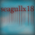 :iconseagullx18: