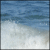 :iconsealight-studios: