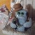 :iconseamonkeycovetc:
