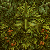 :iconseamus612: