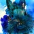 :iconsean-harris: