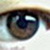 :iconsean-seian: