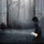 :iconseanachaidh125: