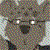 :iconseanmcnally: