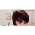 :iconseanutbrittles: