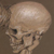 :iconseany-b:
