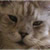 :iconseaportchild: