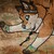 :iconsearralee: