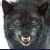 :iconseashells16: