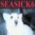 :iconseasick6:
