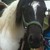 :iconseaside-farms: