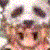 :iconsebakun: