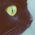 :iconsebaltman: